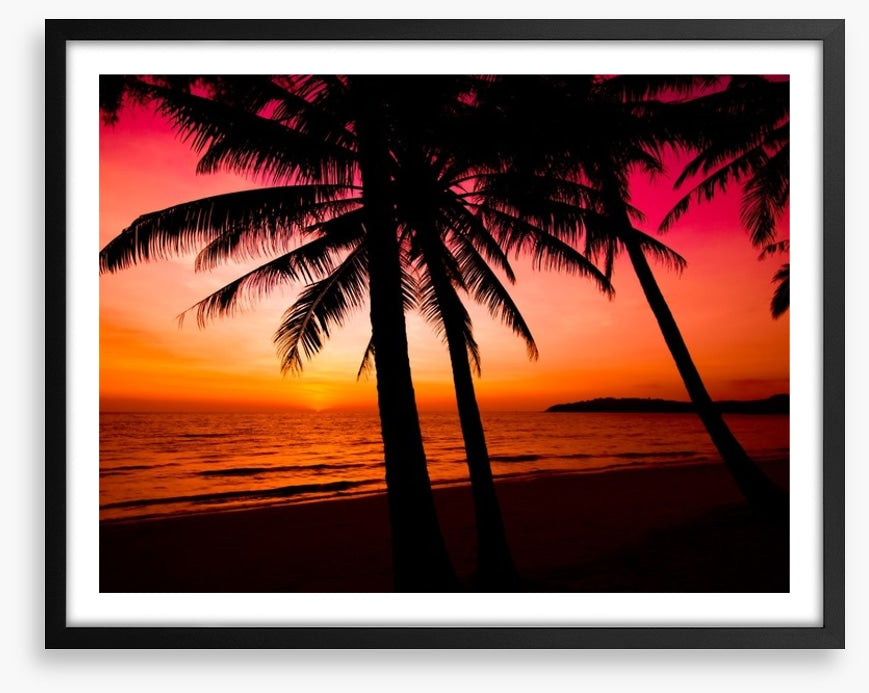 Tropical sunset silhouette