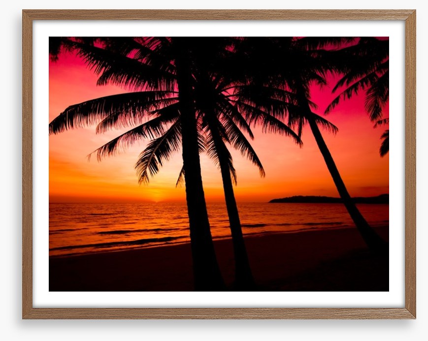 Tropical sunset silhouette