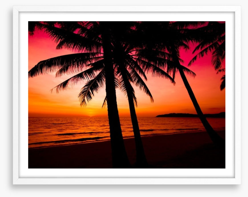 Tropical sunset silhouette