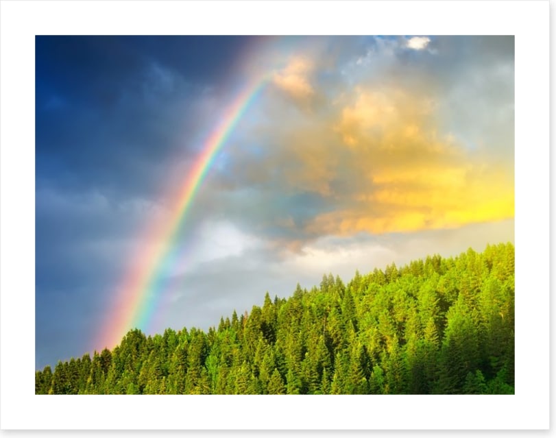Rainbows