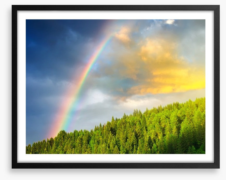 Rainbows