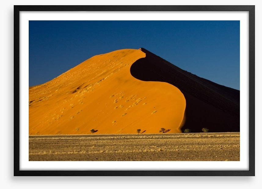 Desert