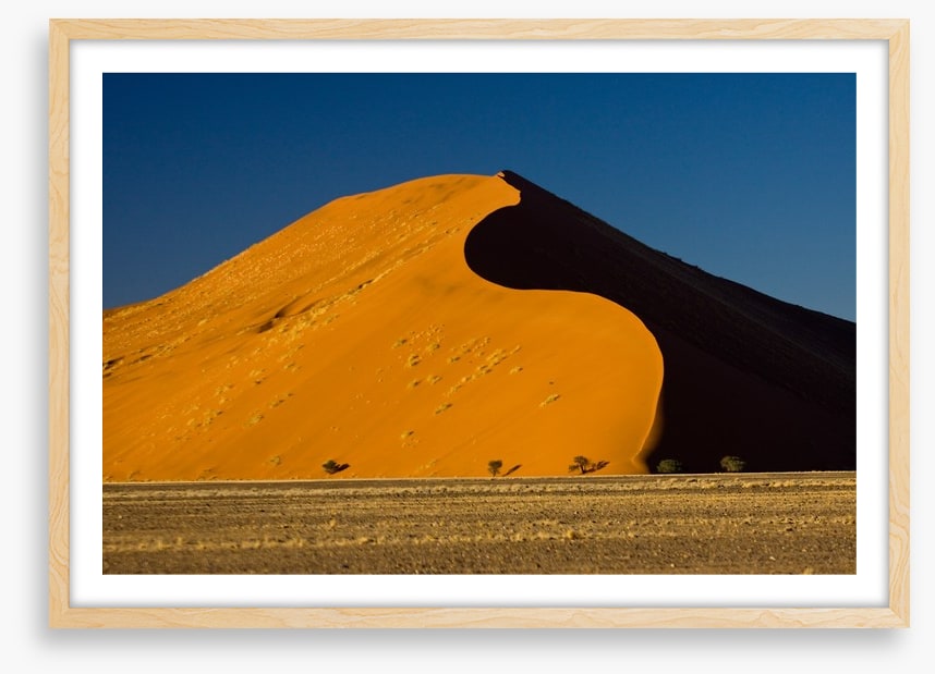 Desert