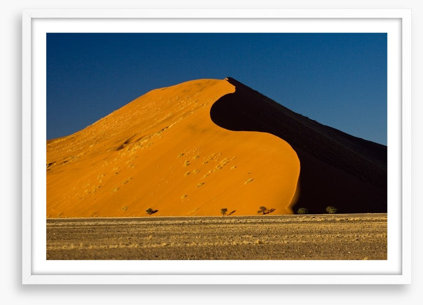 Desert