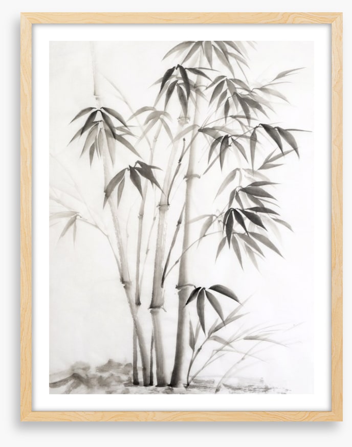 Bamboo watercolour