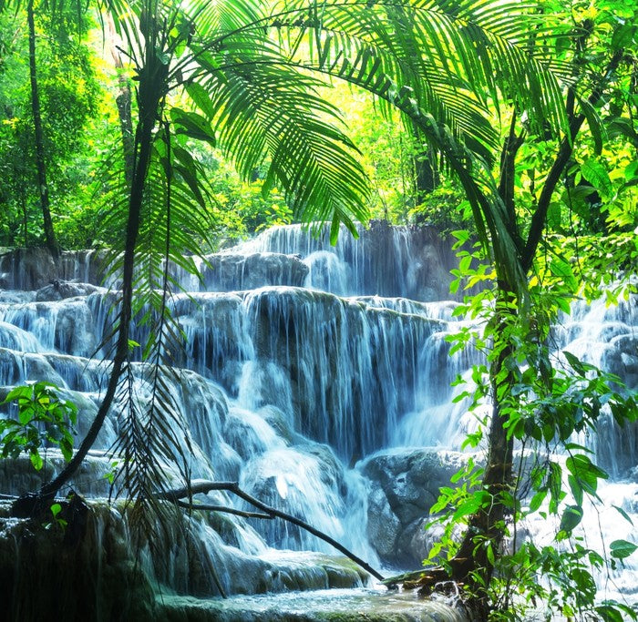 Tropical waterfall
