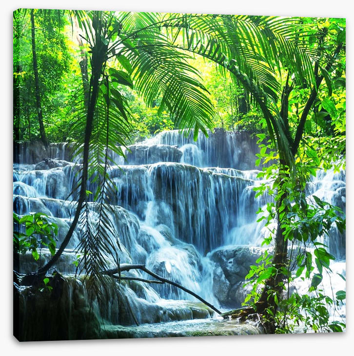 Tropical waterfall