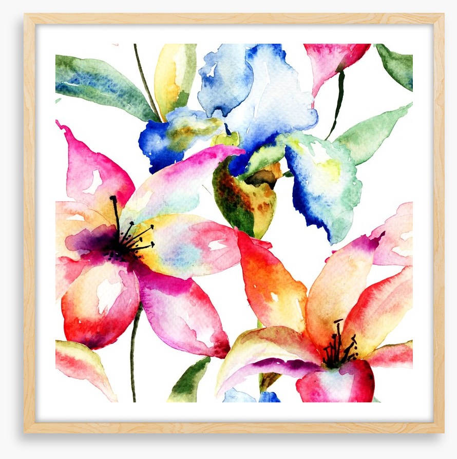Lily and Iris