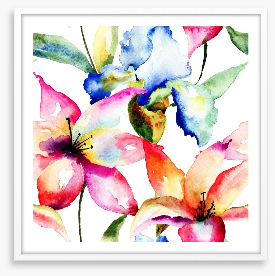 Lily and Iris