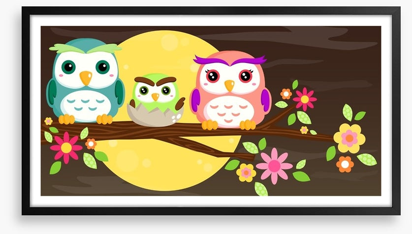 Owls