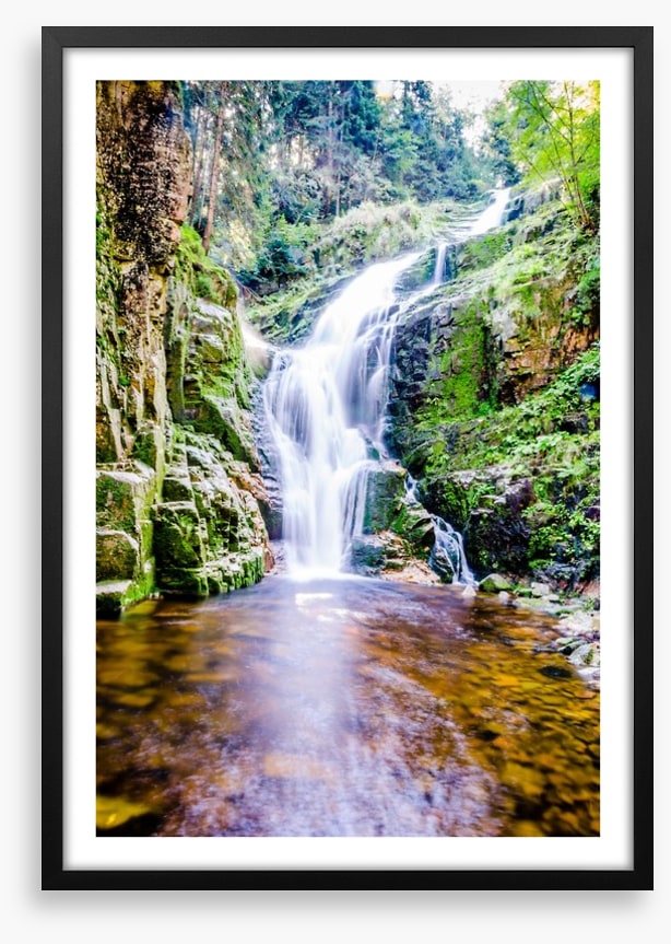 Fresh forest falls