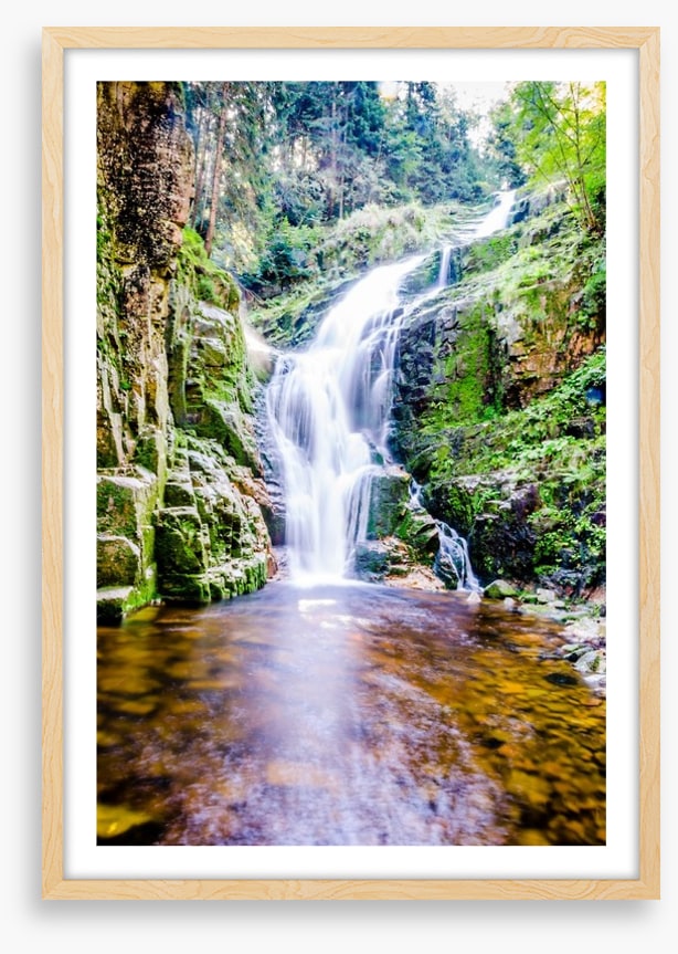 Fresh forest falls