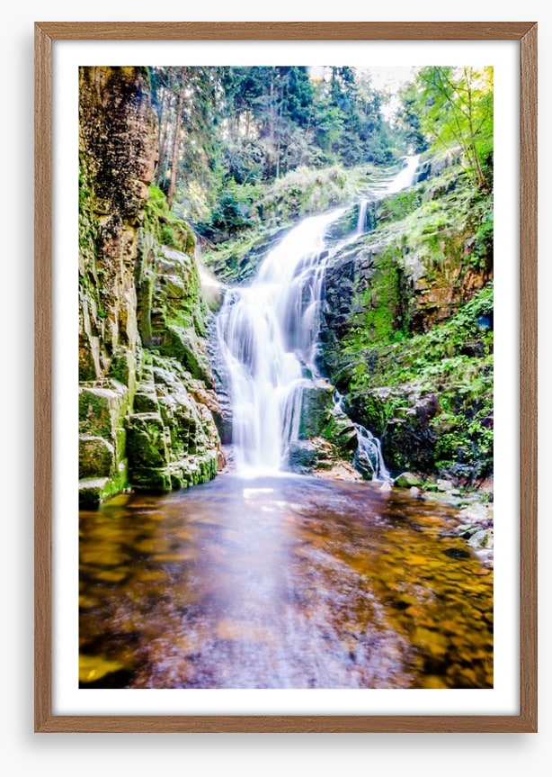 Fresh forest falls