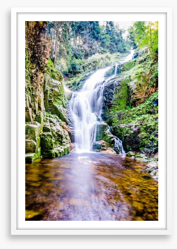 Fresh forest falls