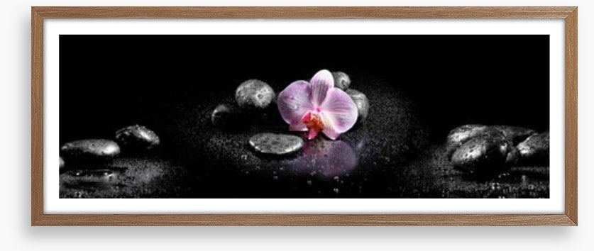 Orchids and stones panoramic