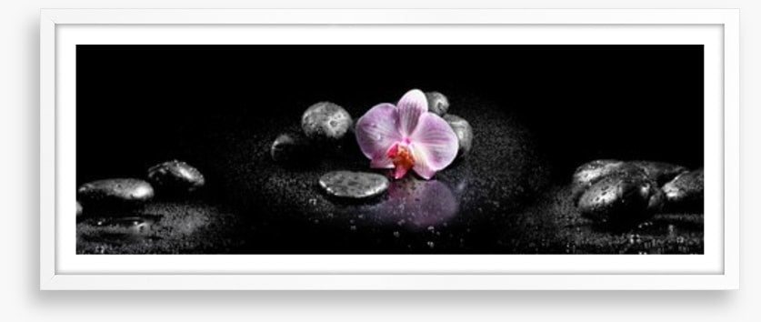 Orchids and stones panoramic