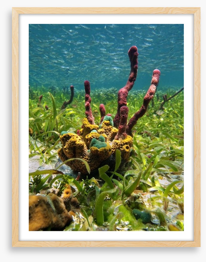 Underwater