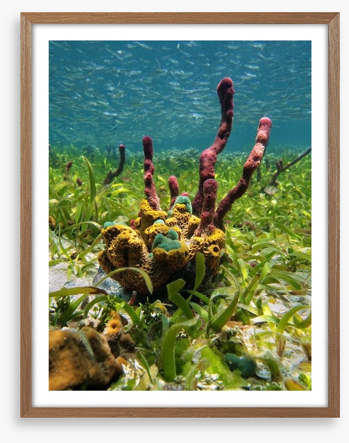 Underwater