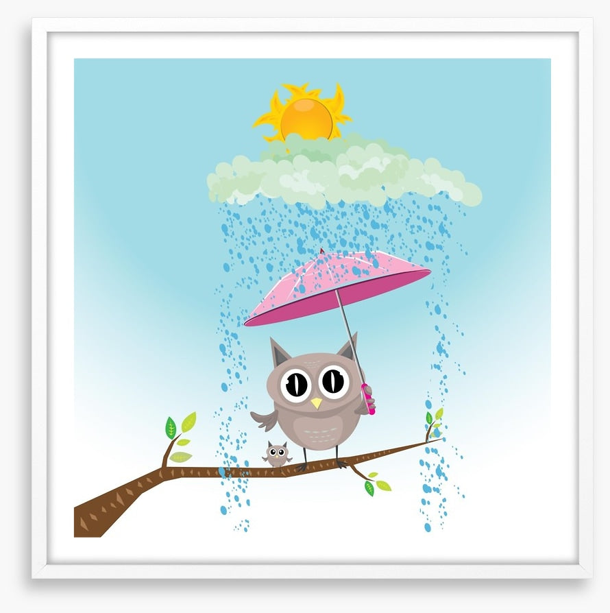 Owls