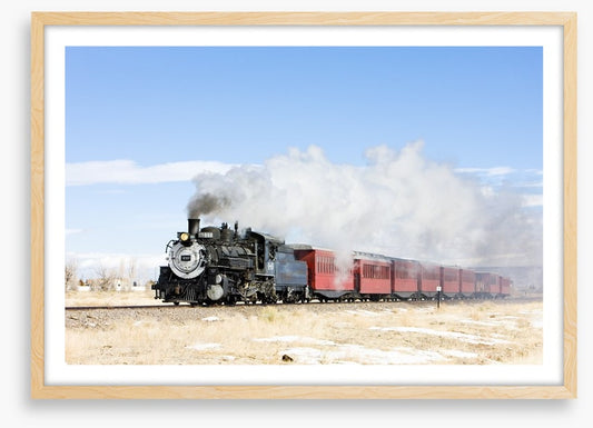 Narrow gauge steam train