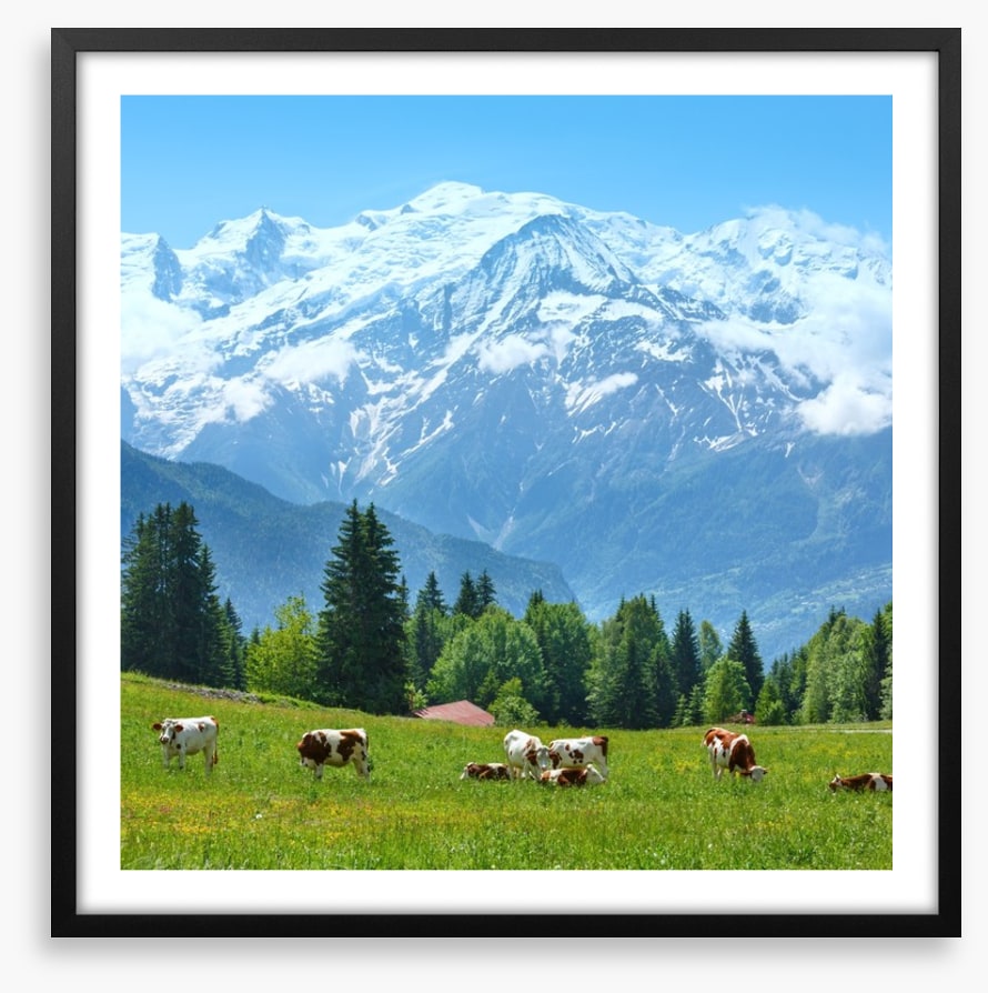 Below Mont Blanc