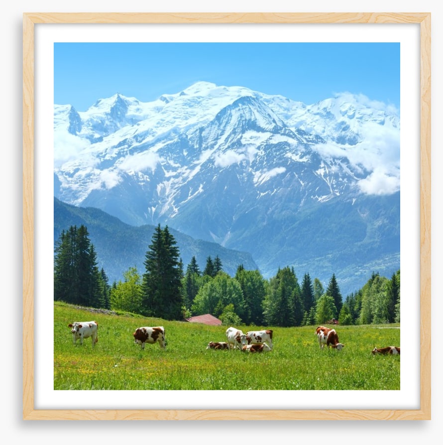 Below Mont Blanc