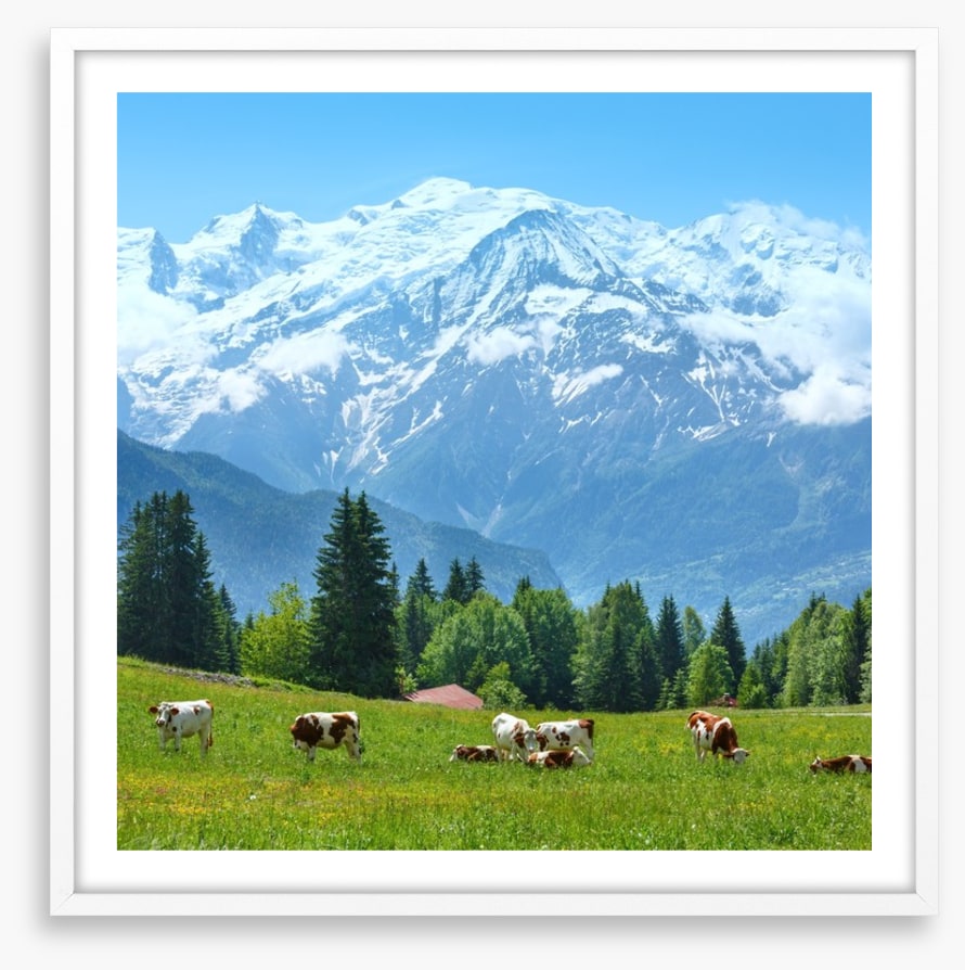 Below Mont Blanc