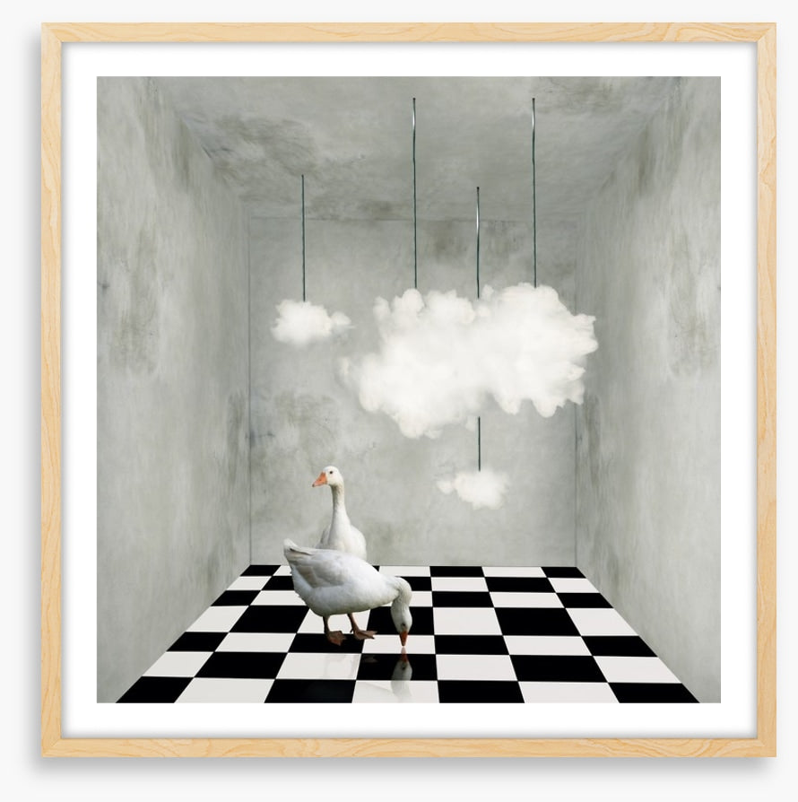 The room with clouds and ducks