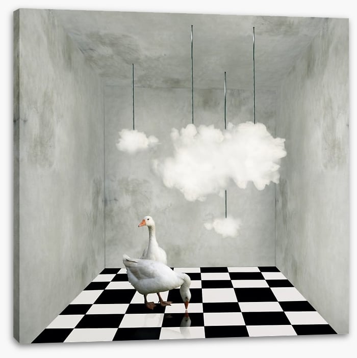 The room with clouds and ducks
