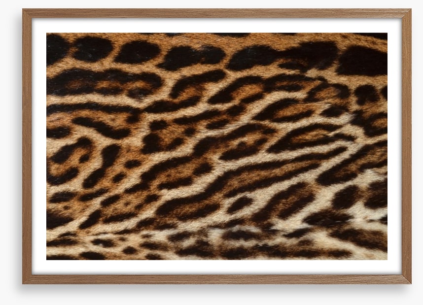 Animal Print