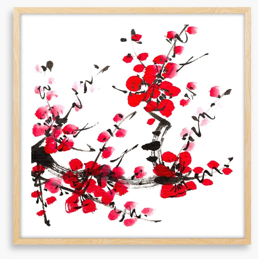 Plum blossom