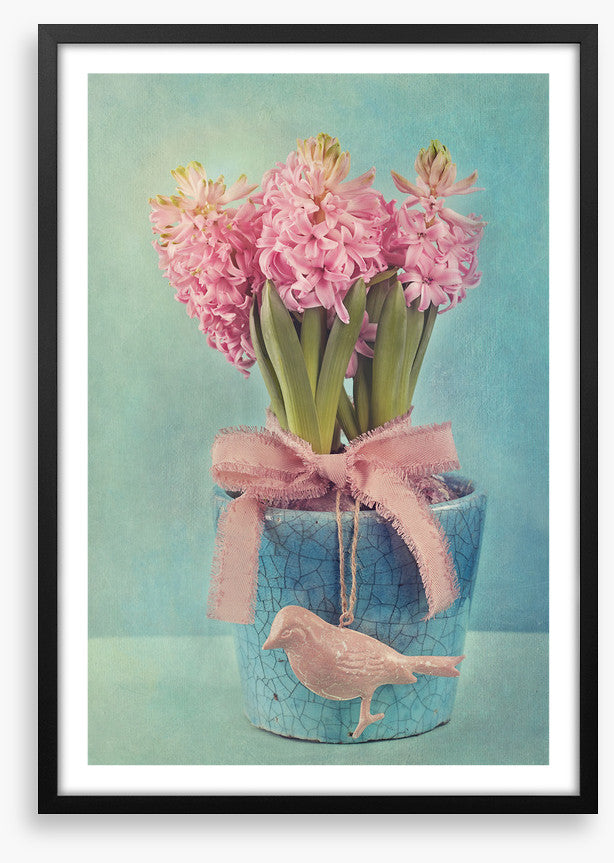 Pink hyacinth pot