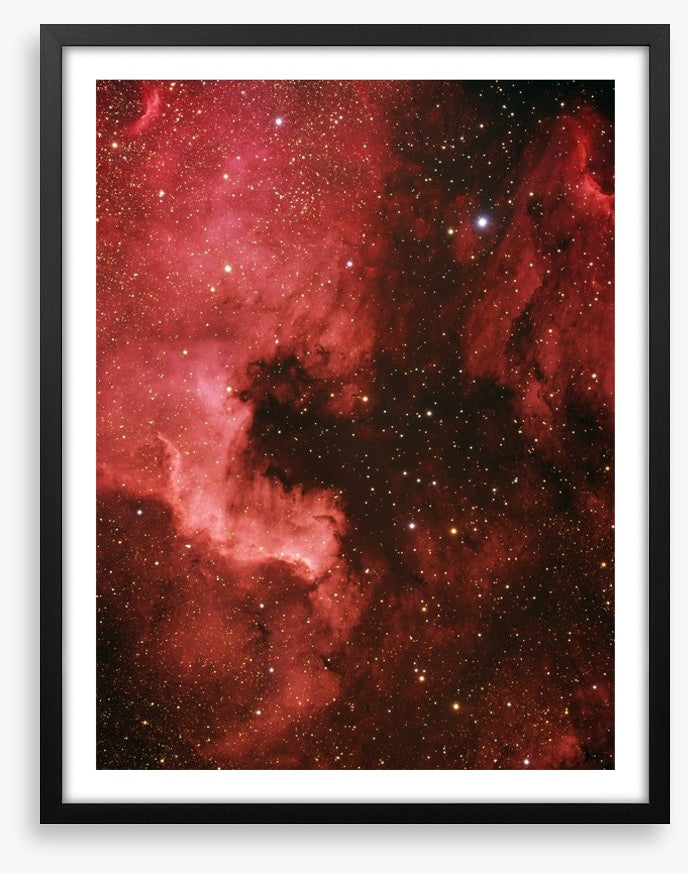Pelican nebula