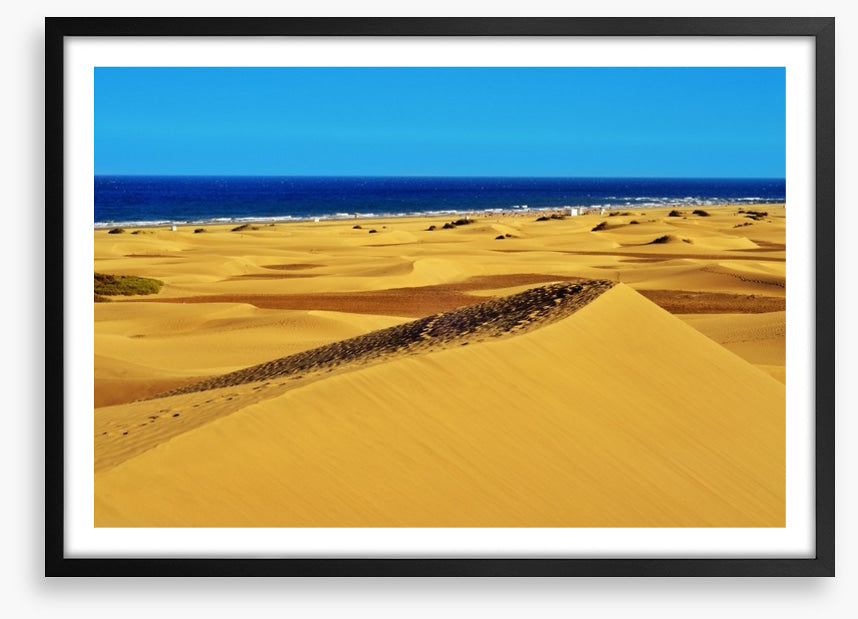 Desert