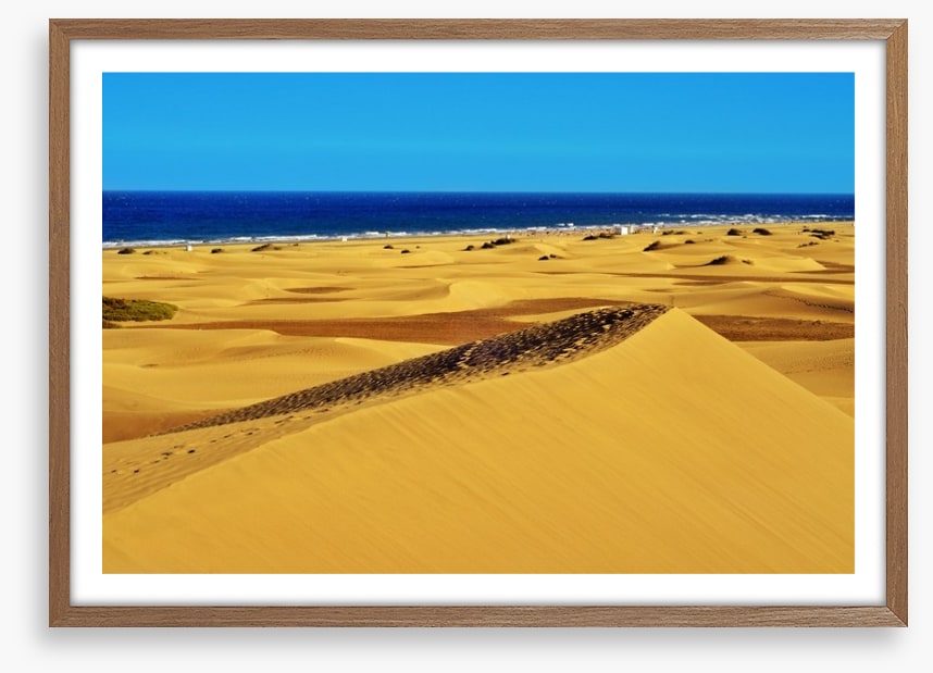 Desert