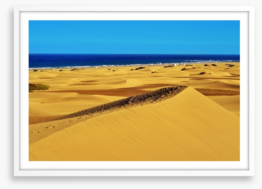 Desert