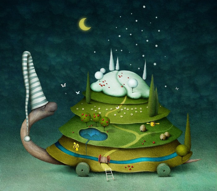 Sleeping fairy turtle