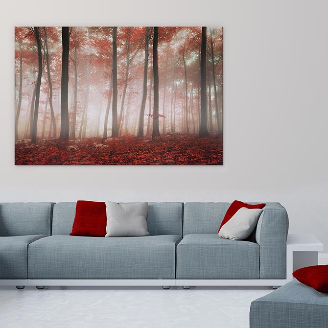 Red leaf forest