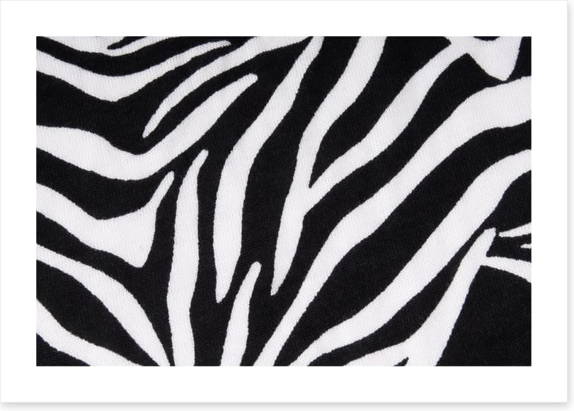 Animal Print
