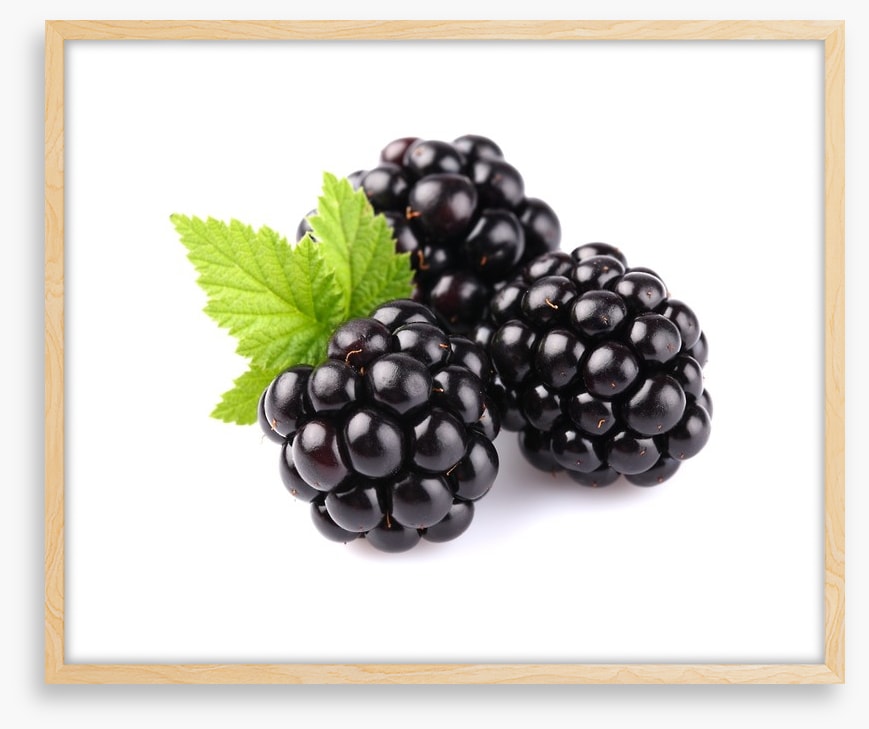 Blackberry trio