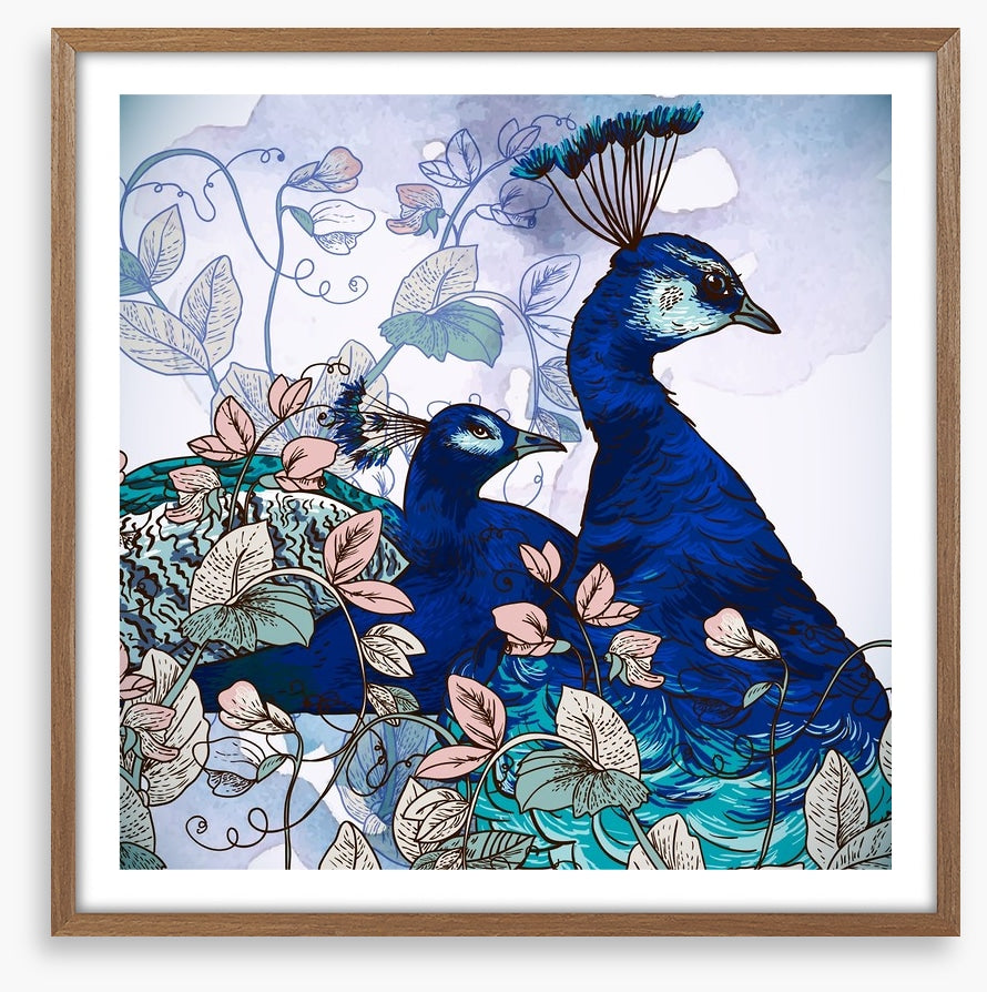 Peacock pair