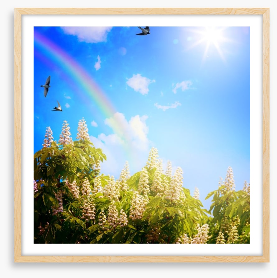 Rainbows