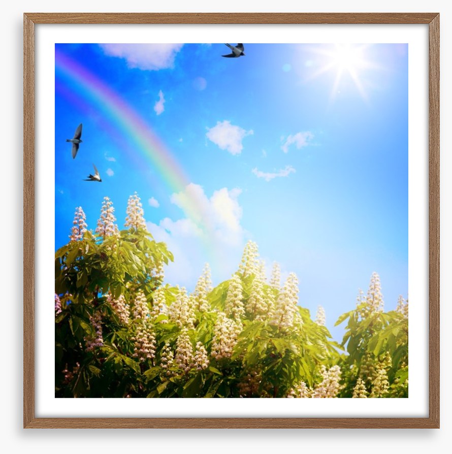 Rainbows