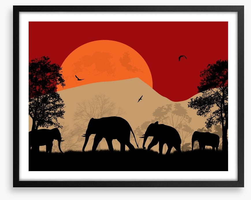 Savanna sunset