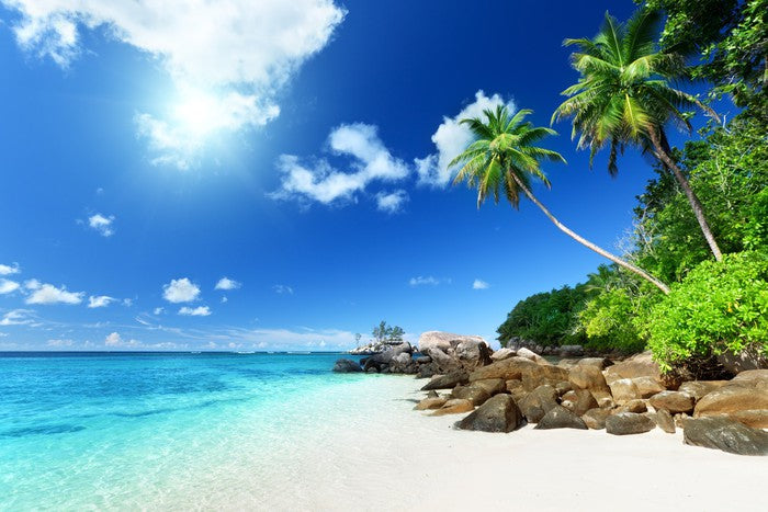 Seychelles shores