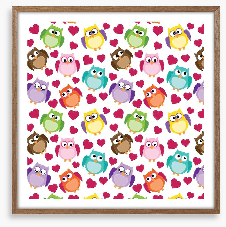 Owls