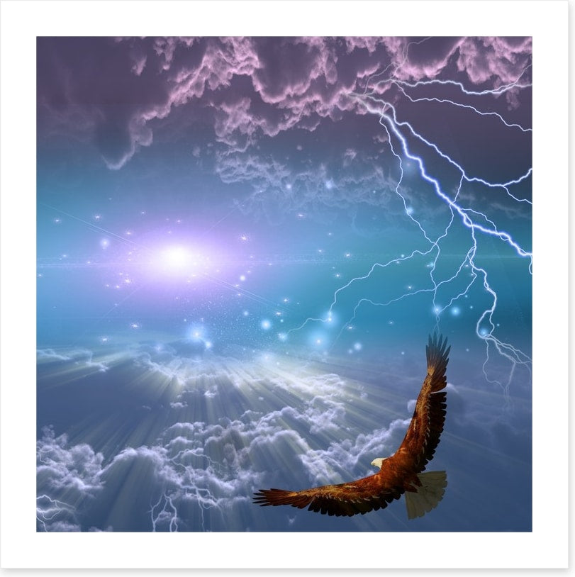 Flight to the light