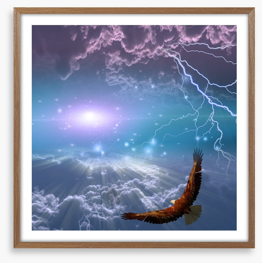 Flight to the light