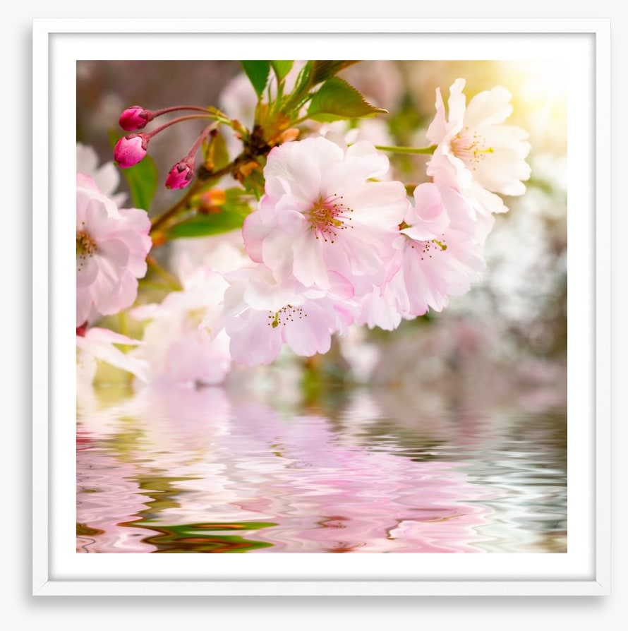 Awakening spring