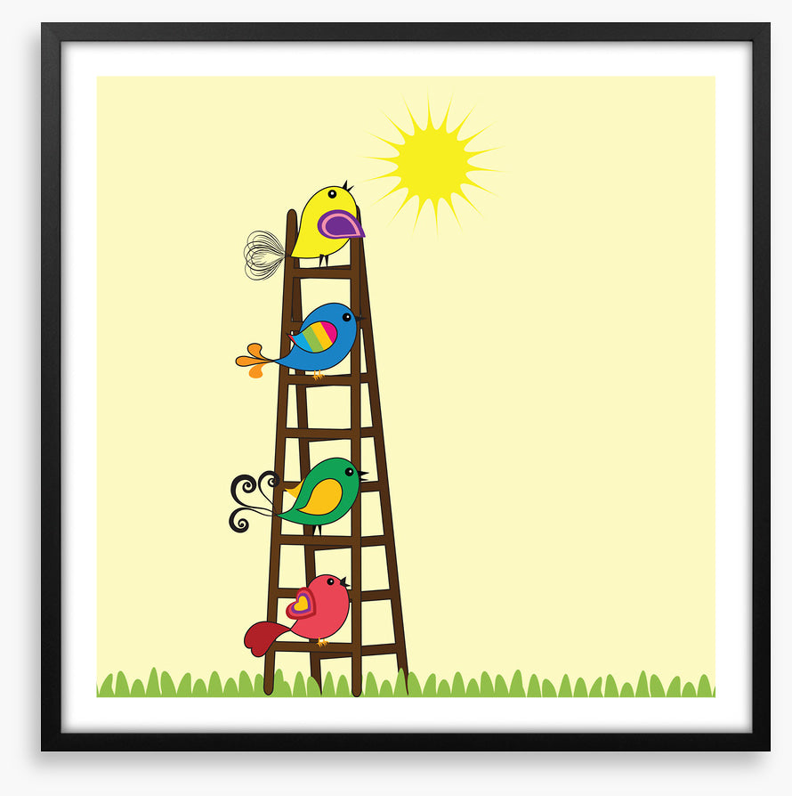 Sun ladder birds